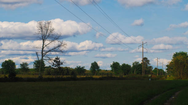 istock Landes landscape, under sunny weather 1354018515