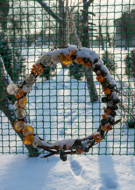 Christmas decorations after the holidays, snow-covered round wicker decorations in the garden, green mesh texture background