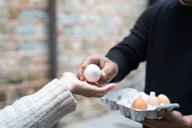 hands holding eggs