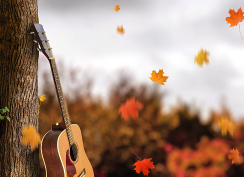 acoustic guitar against tree and and fall leaves