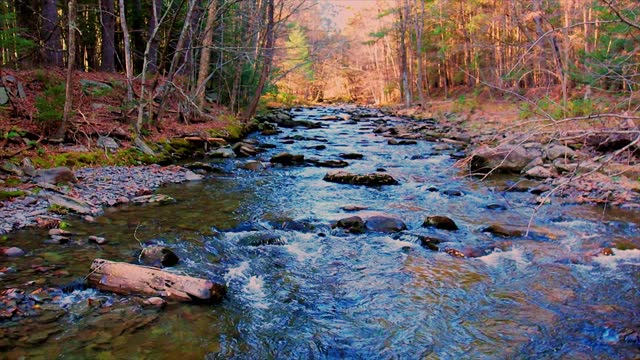 Beautiful Low angle drone slow motion mountain stream footage during autumn