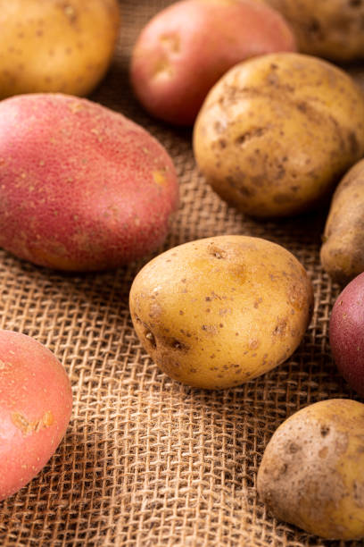 istock Raw whole washed organic potatoes 1354025747