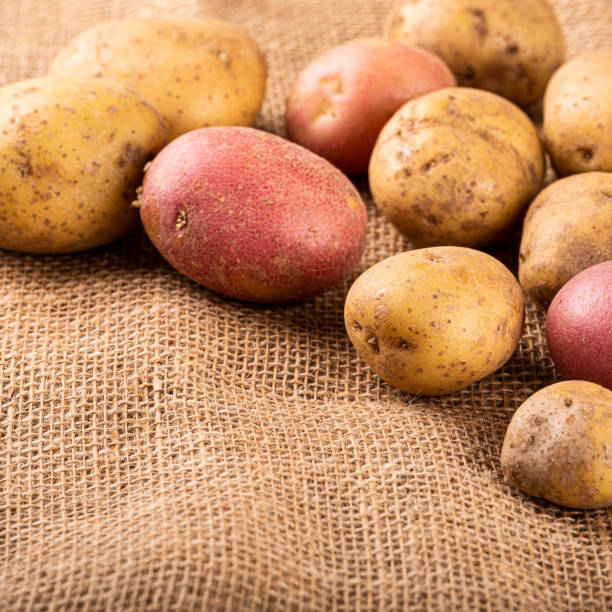 istock Raw whole washed organic potatoes 1354025750
