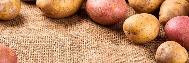 istock Raw whole washed organic potatoes 1354025753