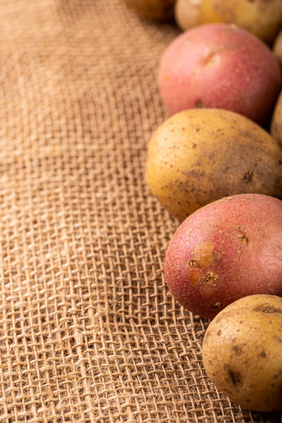 istock Raw whole washed organic potatoes 1354025759