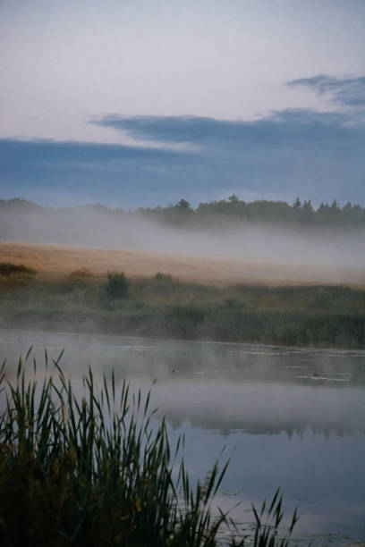 istock Fog over the river, early morning. 1354025970