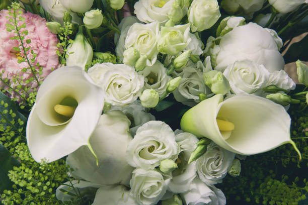 istock selective focus on group of white flowers full frame 1354029775
