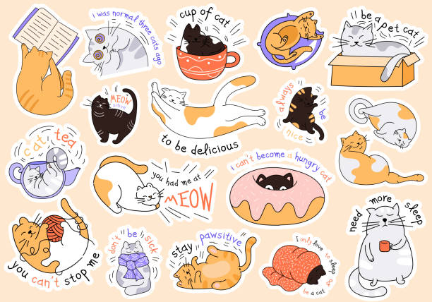 Large collection of cat stickers with text Large collection of cat stickers with inspirational or humorous text showing assorted activities, flat cartoon vector illustration kitten playing with yarn stock illustrations