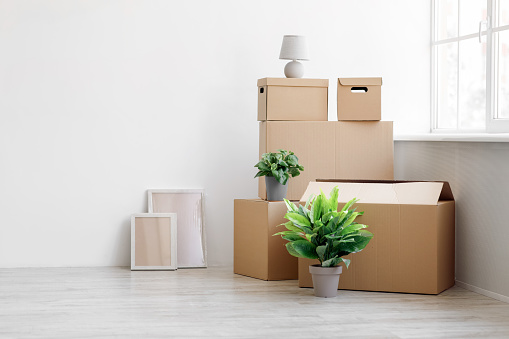 Stack of many different cardboard boxes with goods and green plants in pots on floor on white wall background near window, free space, sun flare. Renovation at new home, moving at rent or own flat