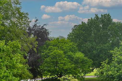 Public Park in Stratford upon Avon