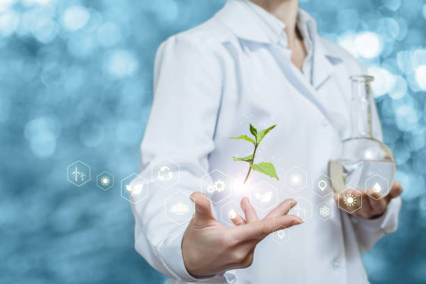 istock Scientist showing sprout with green energy icon structure . 1354032591