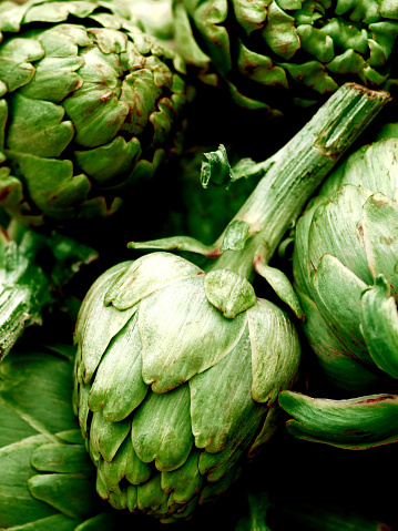 Background of Fresh Artichoke Heads closeup