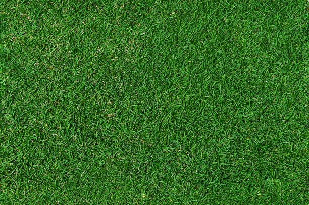 Grass Background (Seamless) stock photo