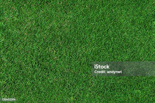 Grass Background Stock Photo - Download Image Now - Grass, Textured Effect, Lawn
