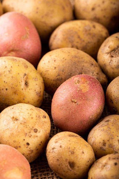 istock Raw whole washed organic potatoes 1354033701