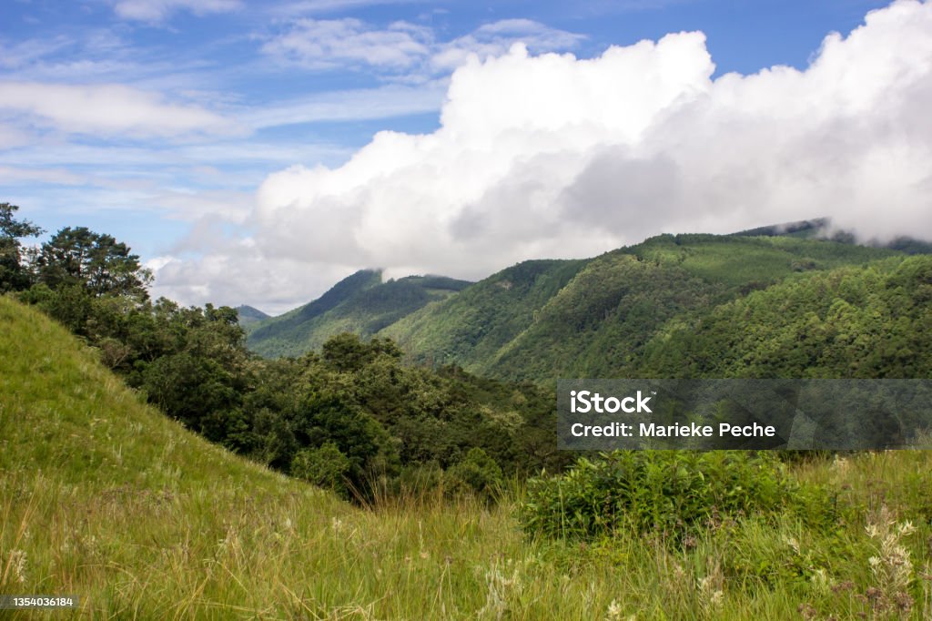 Magoebaskloof view Clouds rolling in over the forested peaks of the Wolkberg Mountains, in the Limpopo escarpment of South Africa, Landscape - Scenery Stock Photo