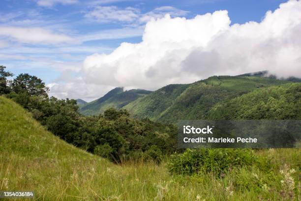 Magoebaskloof View Stock Photo - Download Image Now - Landscape - Scenery, Limpopo Province, Rainforest