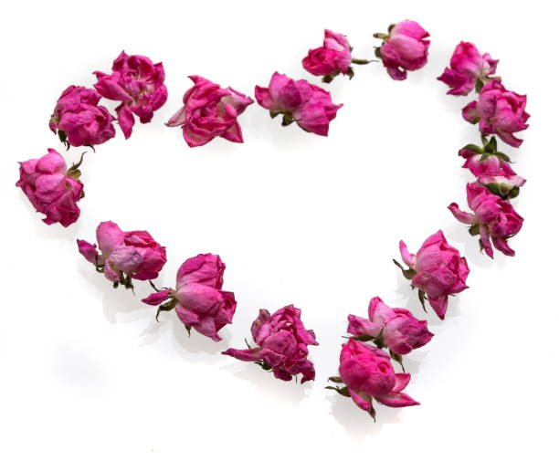 istock Wilted rose petals shaped into heart on white 1354038052