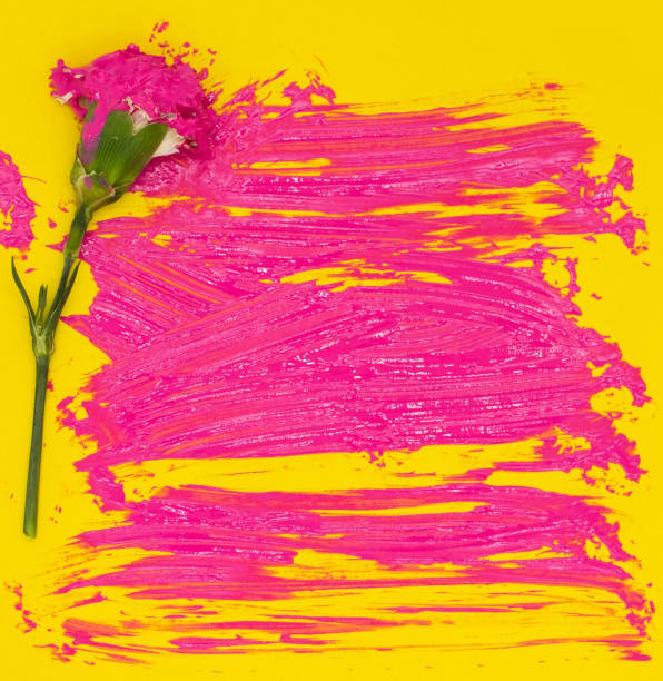 Red carnation flower and colorful wet pink gouache acrylic paint brush strokes spots on bright yellow colored paper. A background to post cards, invitation templates design, blank copy space for text. flor de clavel rojo y coloridas pinceladas acrílicas de pintura acrílica de gouache rosa húmedo manchas en papel de color amarillo brillante. un fondo para tarjetas postales, diseño de plantillas de invitación, espacio de copia en blanco para el texto