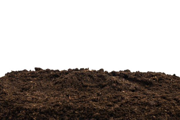 istock Soil for plant isolated on white background. 1354039093