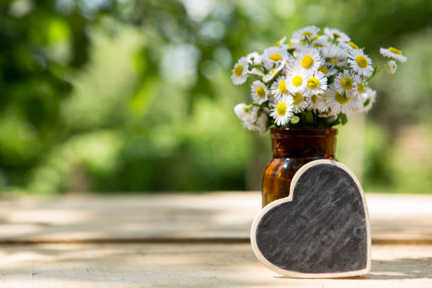 istock Heart shaped sign with space for greeting text, natural outdoors background 1354039380