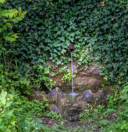 Little fountain out of a stone wall with green ivy