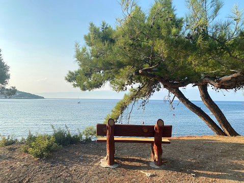 Pine tree ,Sea ,Landscape - Scenery ,Bench ,Sitting