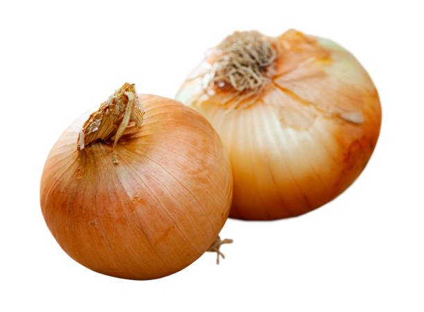 istock Bulbs of onions 1354053313