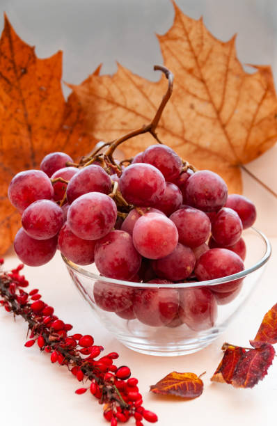 martwa natura świeżych różowych winogron w szklanym wazonie i gałązki berberysu na tle jesiennych liści - berry vine zdjęcia i obrazy z banku zdjęć