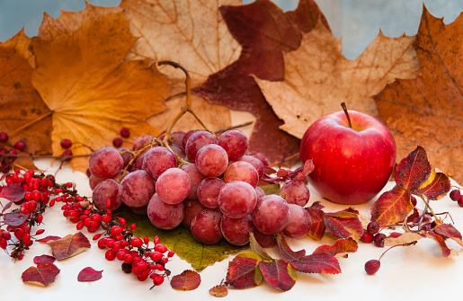 Fresh fruits of pink grapes and apple with sprigs of barberry and rose hips on a background of autumn leaves