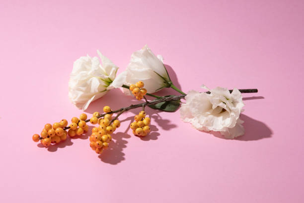 istock Multicolored plants and flowers on pastel pink paper  background. 1354057061