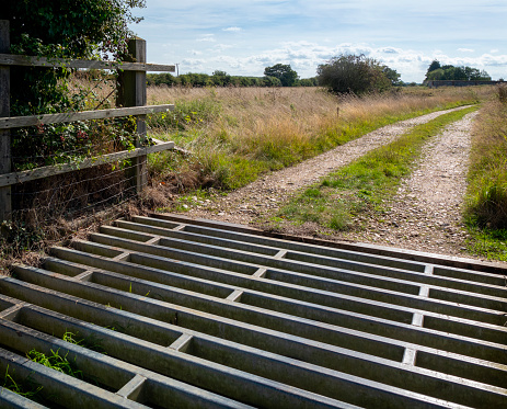 Part of a metal cattle grid on a country lane, designed to prevent cattle straying whilst allowing traffic to pass.