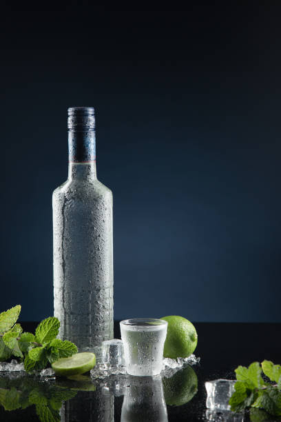 bottiglia di vodka ghiacciata con bicchieri su sfondo blu scuro con spazio di copia. formato verticale. - martini brand vermouth foto e immagini stock