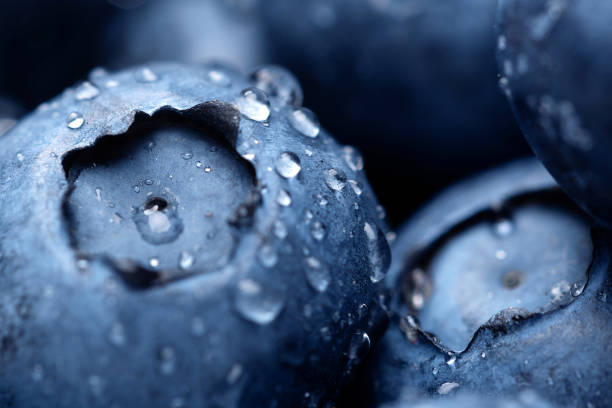 Fresh ripe blueberry with drops of dew. Berry background. Macro photo.