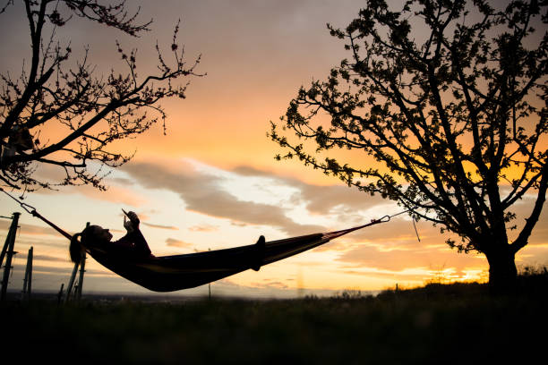 istock Silhouette of woman using her smartphone while lying down on hammock 1354063664