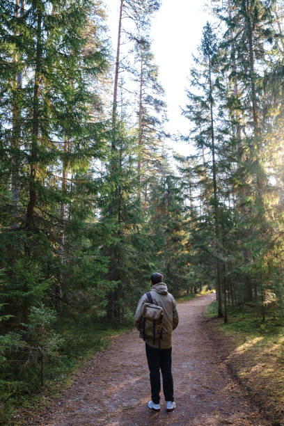 istock A man with a backpack on an empty road walks forward along the forest. Hike along the hiking trail. Outdoor adventure. Travel and exploration. Healthy lifestyle, active rest 1354064031