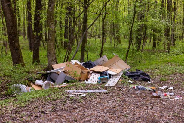 istock Abandoned old furniture in green forest 1354065205
