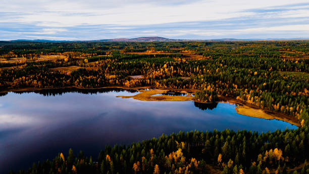 istock North of Sweden 1354065843