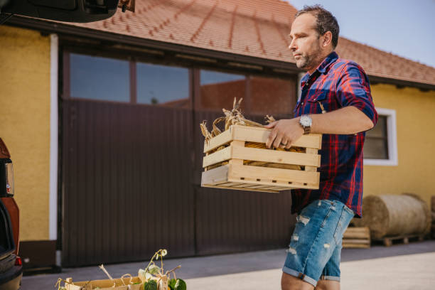 istock Man carrying basket of corn cobs into car trunk 1354065947