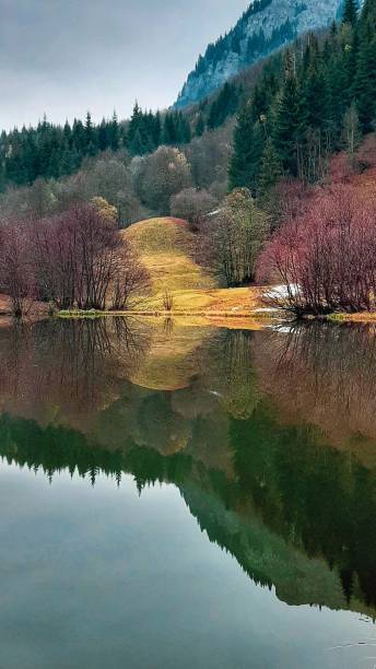 istock Autumn trees and colors 1354069294