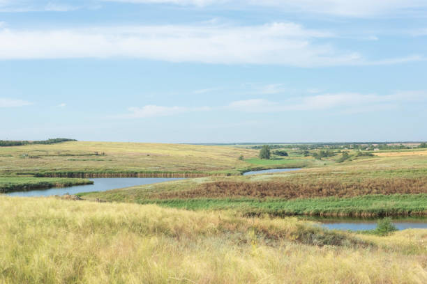 istock countryside landscape fields in summer with yellow dry grass august ukraine 1354069811