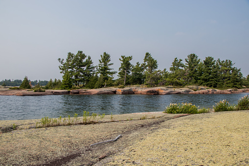 pine forest and granite rock coast on the Great Lakes at Croker Island in the North Channel, Algoma, Ontario, Canada