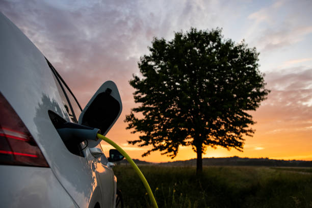 istock Charging an electric car on agriculture field at roadside 1354070876