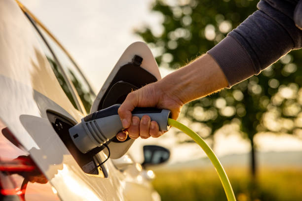 człowiek wkłada przewód zasilający do samochodu elektrycznego w celu ładowania w przyrodzie - car green nature landscape zdjęcia i obrazy z banku zdjęć