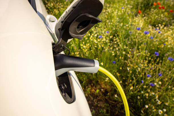 istock Charging an electric car on flower field 1354070982