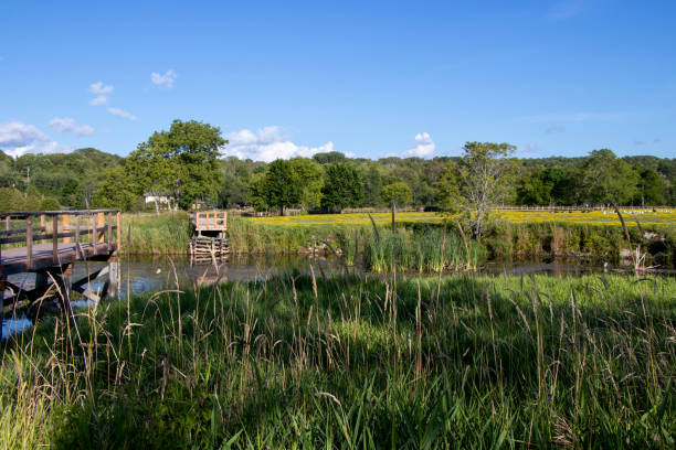 istock bridge out over a river in rural area 1354071880