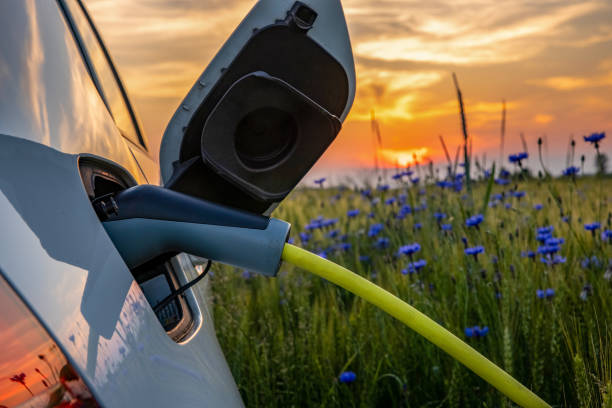 田舎の花畑で電気自動車を充電する - transportation nature environment electric car ストックフォトと画像
