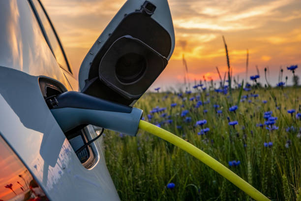 Charging an electric car on rural flower field stock photo