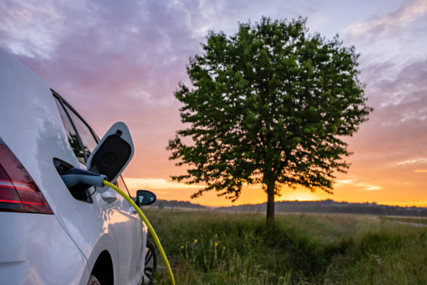 istock Charging an electric car in the nature 1354072228