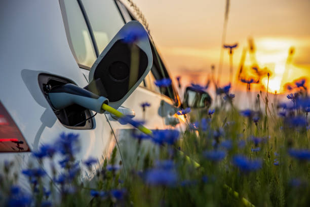 istock Charging an electric car on rural flower field 1354073087